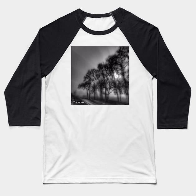 Shadows And Tall Trees - Black And White Baseball T-Shirt by davidbstudios